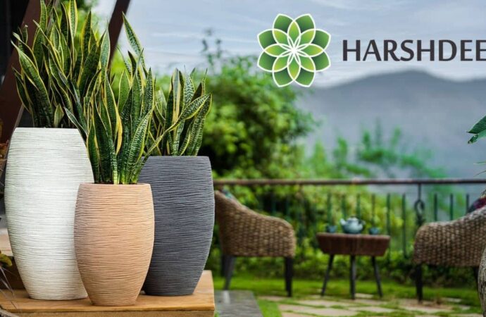 Harshdeep Hortico Limited Reports Strong Operating Results for the year Ended March 31, 2024