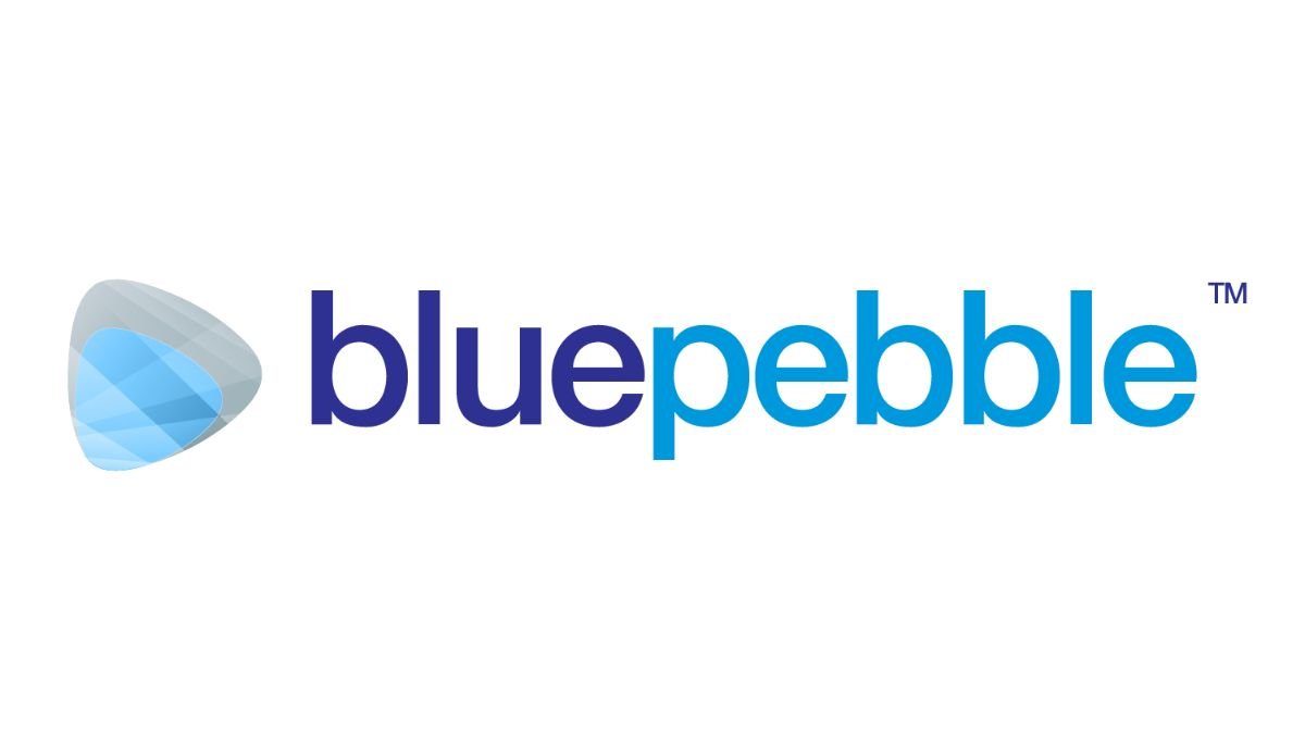 Blue Pebble Limited H1 FY25 Results: PAT Soars by 356.27%