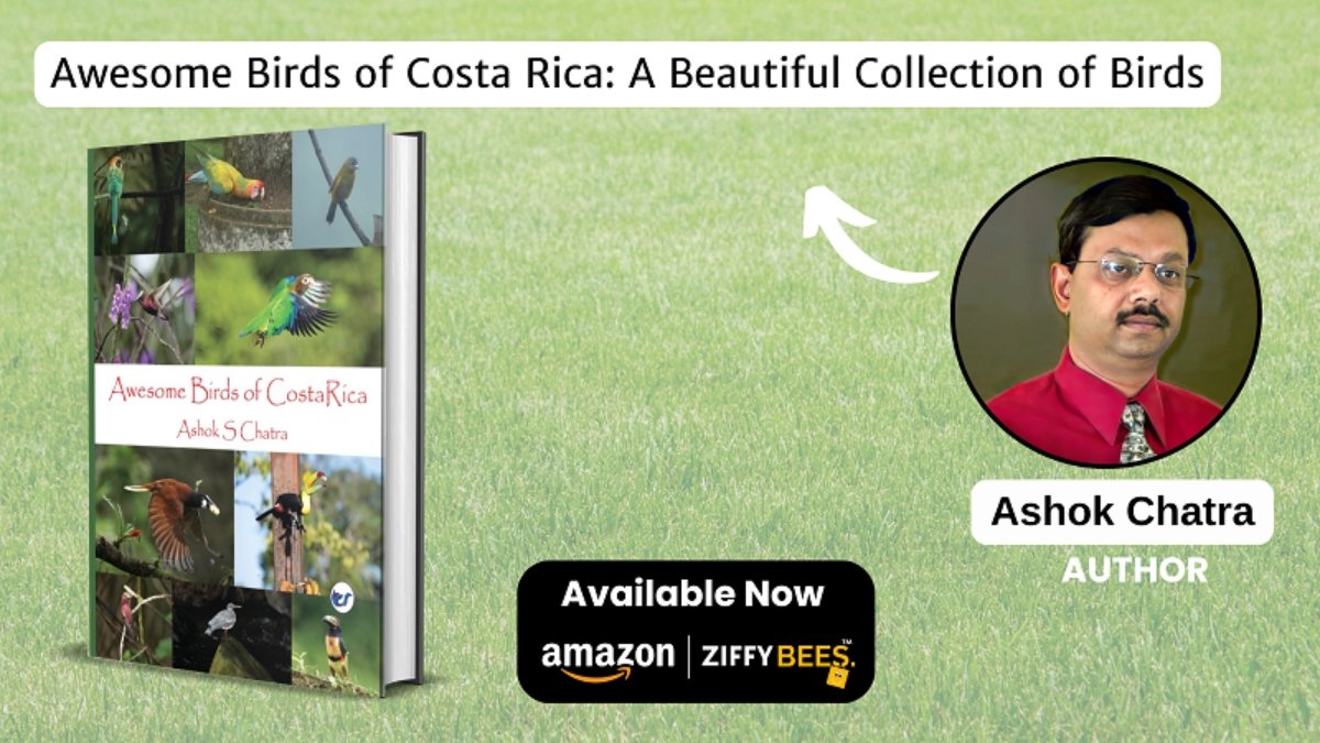 Awesome Birds of Costa Rica- A Celebration of Avian Wonders